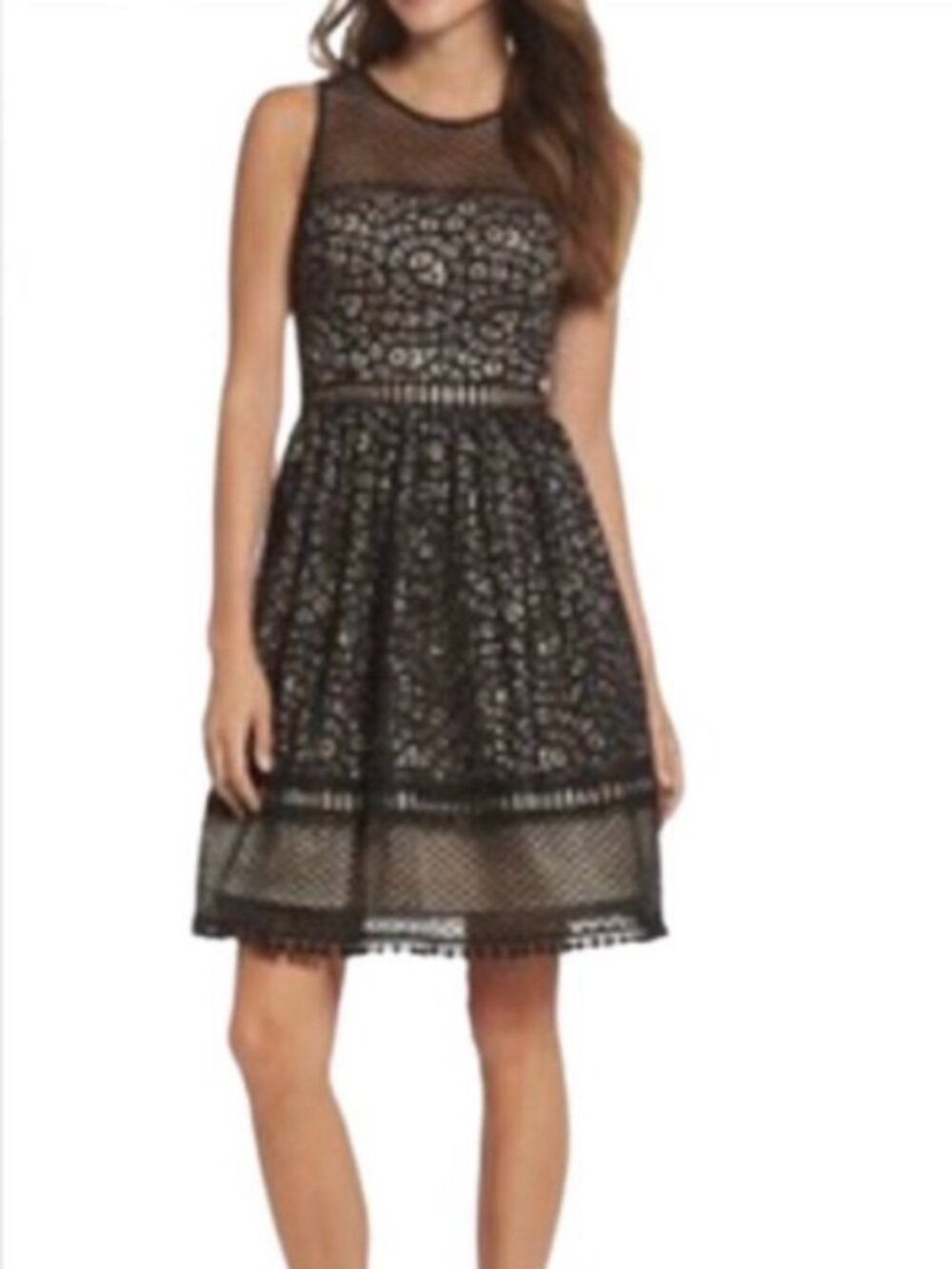 NWOT Eliza J Black/Nude Sleeveless Fit & Flare Lace Dress. Size 4P